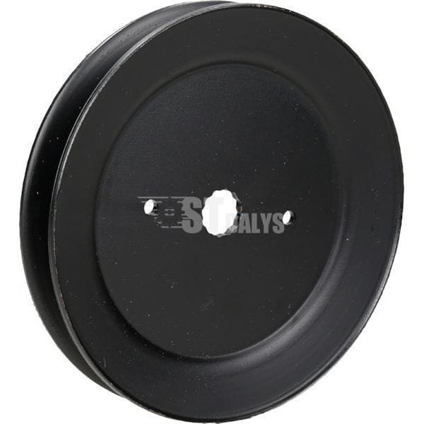 Pagal gamintoją AYP Skriemulys AYP 53-21981-45 Pagal gamintoją AYP Skriemulys AYP 53-21981-45