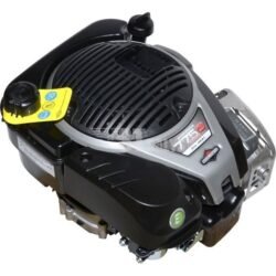 Briggs & Stratton Variklis 1006050039H8