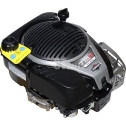 Briggs & Stratton Variklis 1006050040H8