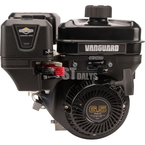 Variklis 6.5 HP Briggs&Stratton 13L3320312F8 – St-Dalys