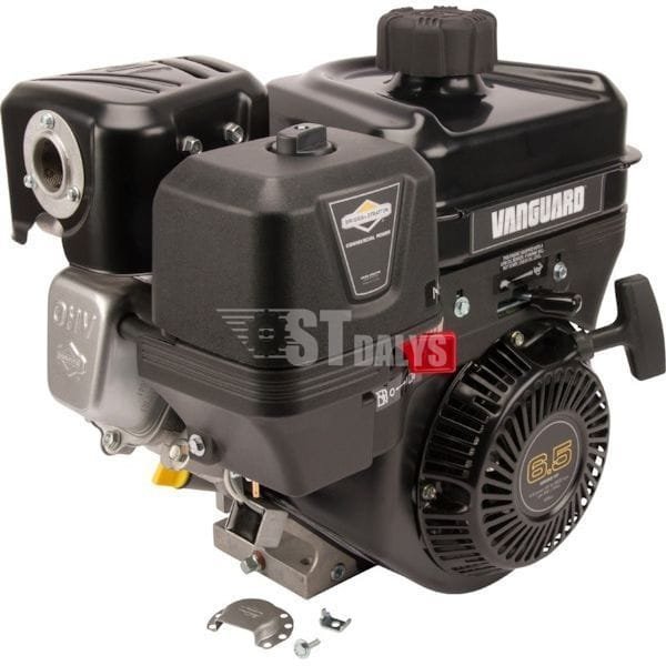 Variklis 6.5 HP Briggs&Stratton 13L3320312F8 – St-Dalys