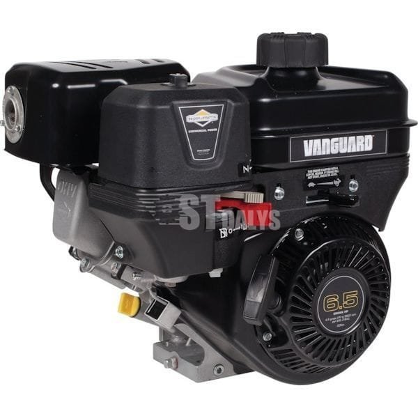 Variklis 6.5 HP Briggs&Stratton 12V3520005F1 – St-Dalys