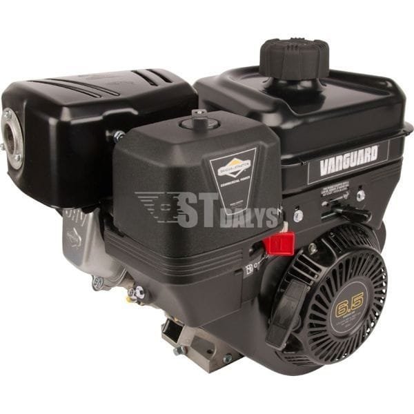 Variklis 6.5 HP Briggs&Stratton 12V3370010F1 – St-Dalys