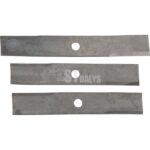 Toro-Peilis-SA-107982-107983