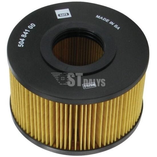 Oro filtrai Hatz 50484100