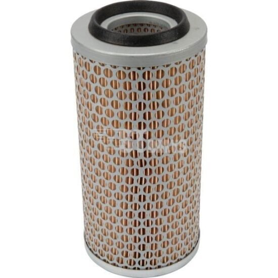 Oro filtrai Hatz 49061600