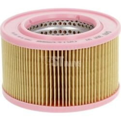 Oro filtrai Hatz 4030101