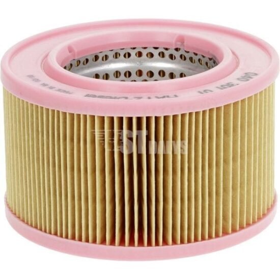 Oro filtrai Hatz 4030101