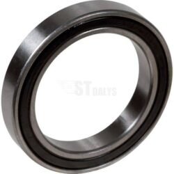 Rutulinis guolis E10554ASM E10554