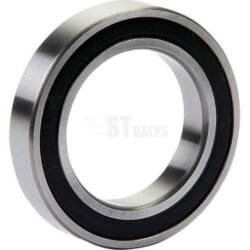 Rutulinis guolis E10454ASM E10454