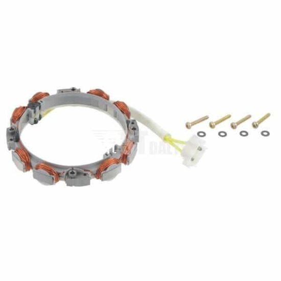 Briggs & Stratton Generatorius 696579 696579