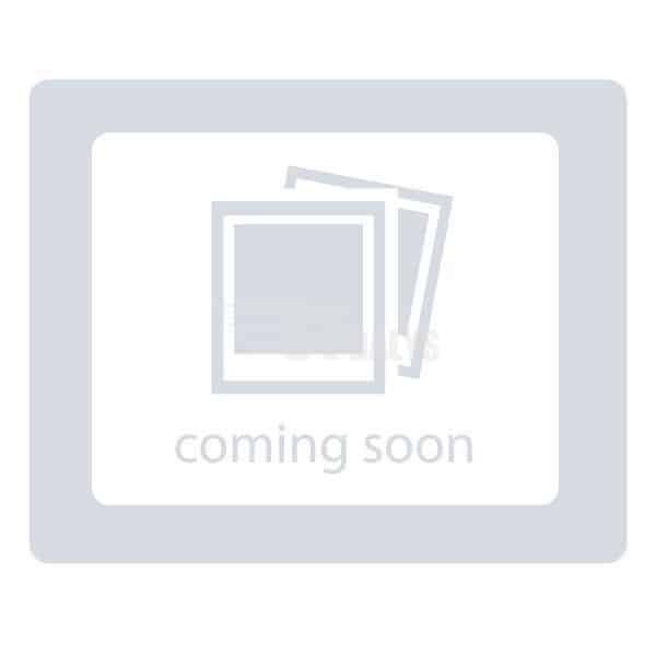 Briggs & Stratton Įtampos reguliatorius 102950GS 102950GS Briggs & Stratton Įtampos reguliatorius 102950GS 102950GS