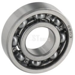 Rutulinis guolis 95030030450GP 95030030450GP