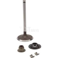 Įsiurbimo vožtuvas Briggs & Stratton 716080