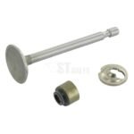 Įsiurbimo vožtuvas Briggs & Stratton 795443