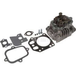 Cilindro galvutė Briggs & Stratton 799072 695276
