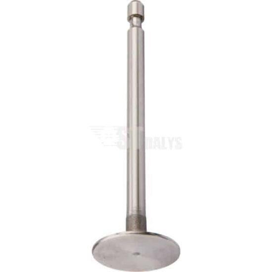 Įsiurbimo vožtuvas Briggs & Stratton 690429