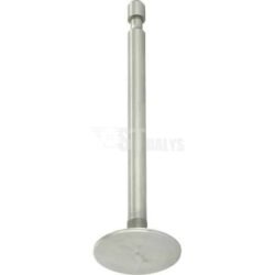 Įsiurbimo vožtuvas Briggs & Stratton 690429