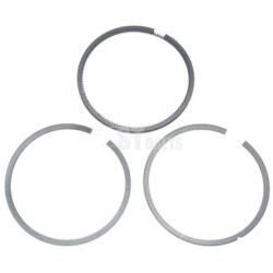 Stūmoklio žiedų komp. std. Briggs & Stratton 499921 391669