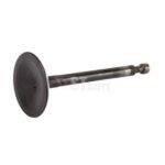 Įsiurbimo vožtuvas - Image 2