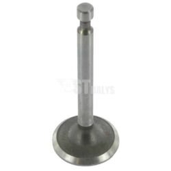 Įsiurbimo vožtuvas Briggs & Stratton 592611