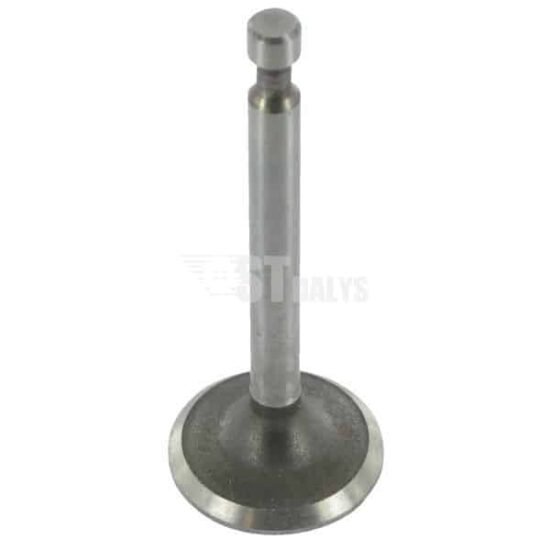 Įsiurbimo vožtuvas Briggs & Stratton 592611
