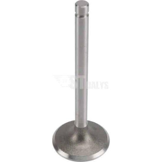 Vožtuvas Kohler 24 017 01-S