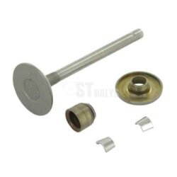 Įsiurbimo vožtuvas Briggs & Stratton 807680