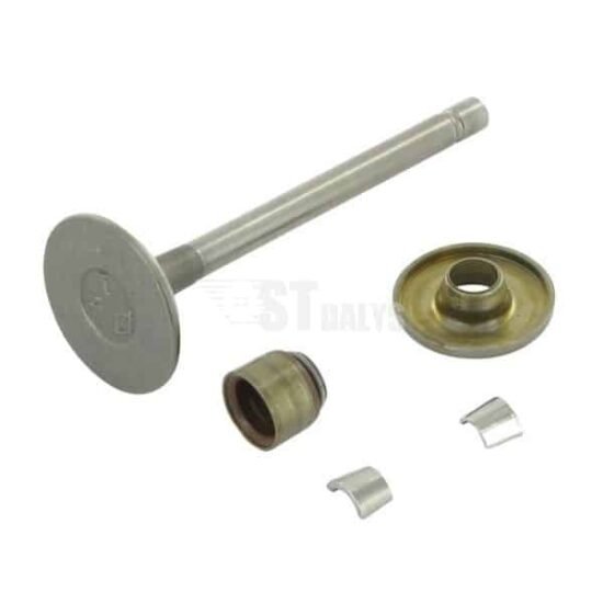 Įsiurbimo vožtuvas Briggs & Stratton 807680