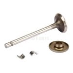 Išmetimo vožtuvas Briggs & Stratton 806419