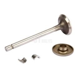 Išmetimo vožtuvas Briggs & Stratton 806419