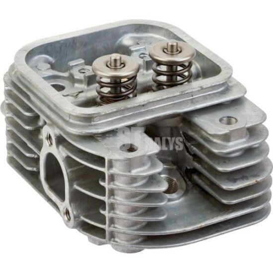 Cilindro galvutė Briggs & Stratton 809200WM
