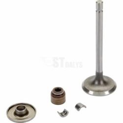 Įsiurbimo vožtuvas Briggs & Stratton 843751 806420