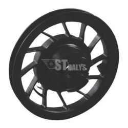 Briggs & Stratton Starterio bugnelis 697843