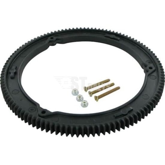 Briggs & Stratton Smagračio dantratis 499612