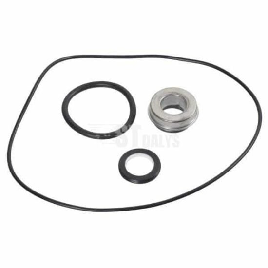 Briggs & Stratton Tarpinių komplektas, skirtas WP260  Originalus kodas 198075GS 198075GS