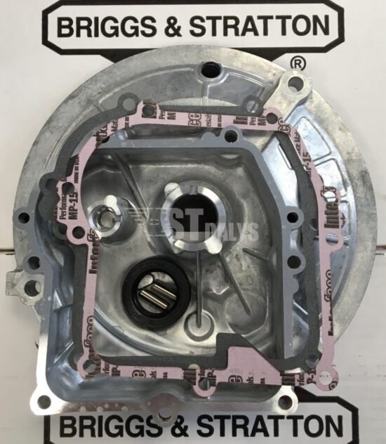 Karteris Briggs & stratton Originalus kodas: 594101