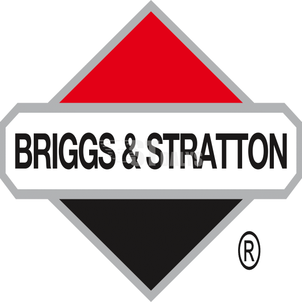 BRIGGS & STRATTON dalys