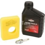 Variklio priežiūros rinkinys Briggs&Stratton 992231 - Image 2