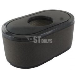 Oro filtras LONCIN 180100123-0001